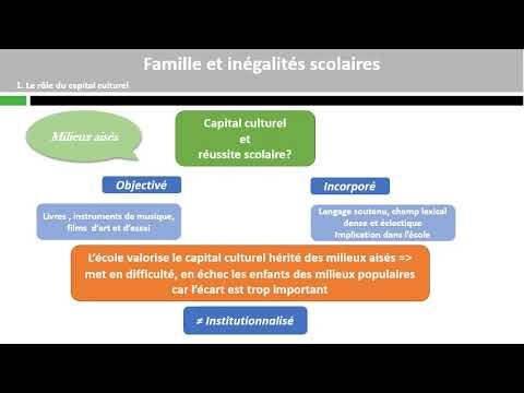 Les b&eacute;n&eacute;fices du d&eacute;veloppement social &agrave; l’&eacute;cole