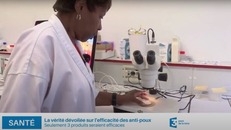 Comparaison des Traitements Anti-Poux : Efficacit&eacute; et Choix Optimal