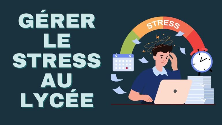 Optimisation du Suivi des Progr&egrave;s en Gestion du Stress Scolaire