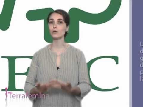 Cahiers &Eacute;cologiques : Pr&eacute;parez Votre Rentr&eacute;e Durable